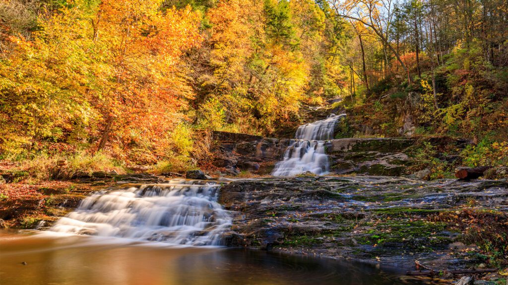 American Bio-Tech Wildlife Services: Beneath Our Feet, Part II