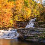 American Bio-Tech Wildlife Services: Beneath Our Feet, Part II