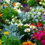Your Spring Gardening Checklist