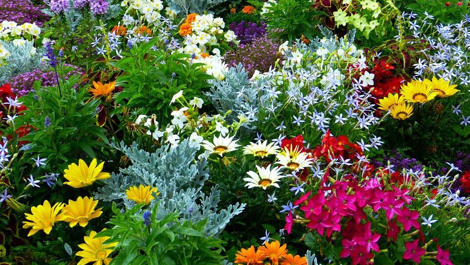 Your Spring Gardening Checklist