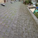 What’s Growing on Your Roof? Why Spring Moss Removal Matters More Than You Think