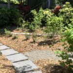 Deepening Our Relationships With Native Plants
