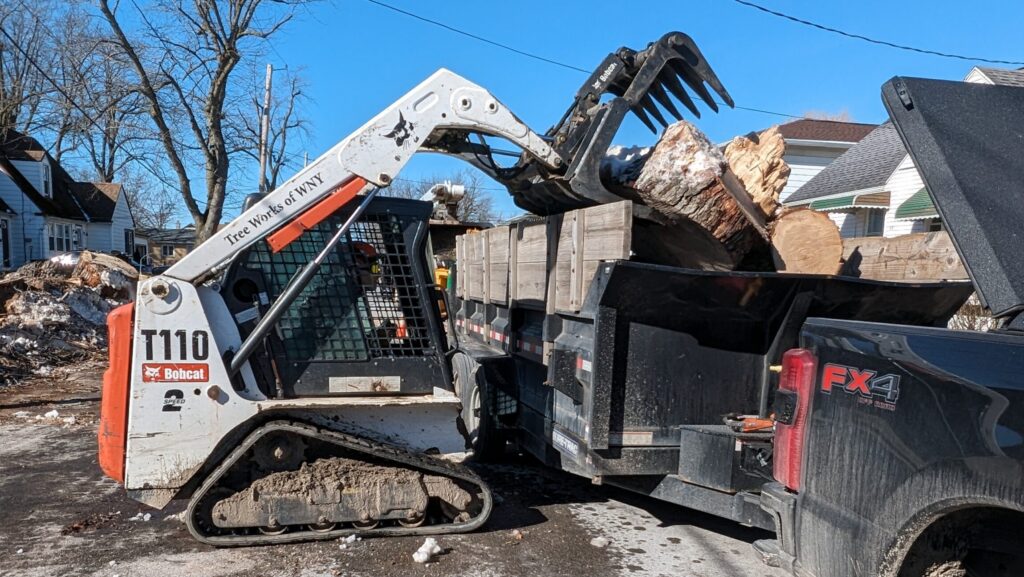 Key Considerations When Hiring a Tree Removal Company