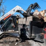 Key Considerations When Hiring a Tree Removal Company