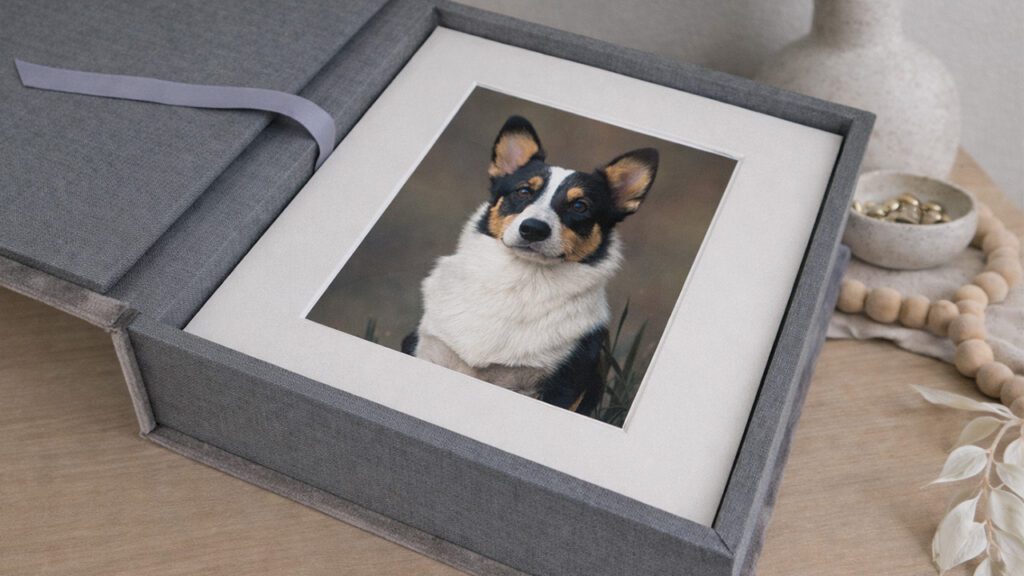 Discover Your Photo Style With This Simple Quiz