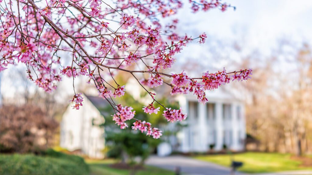 Spring and Your Home’s True Value