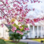 Exclusive Listings & The Portal Wars