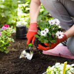 The Functional Spring: Planting the Seeds for a Pain-Free Season