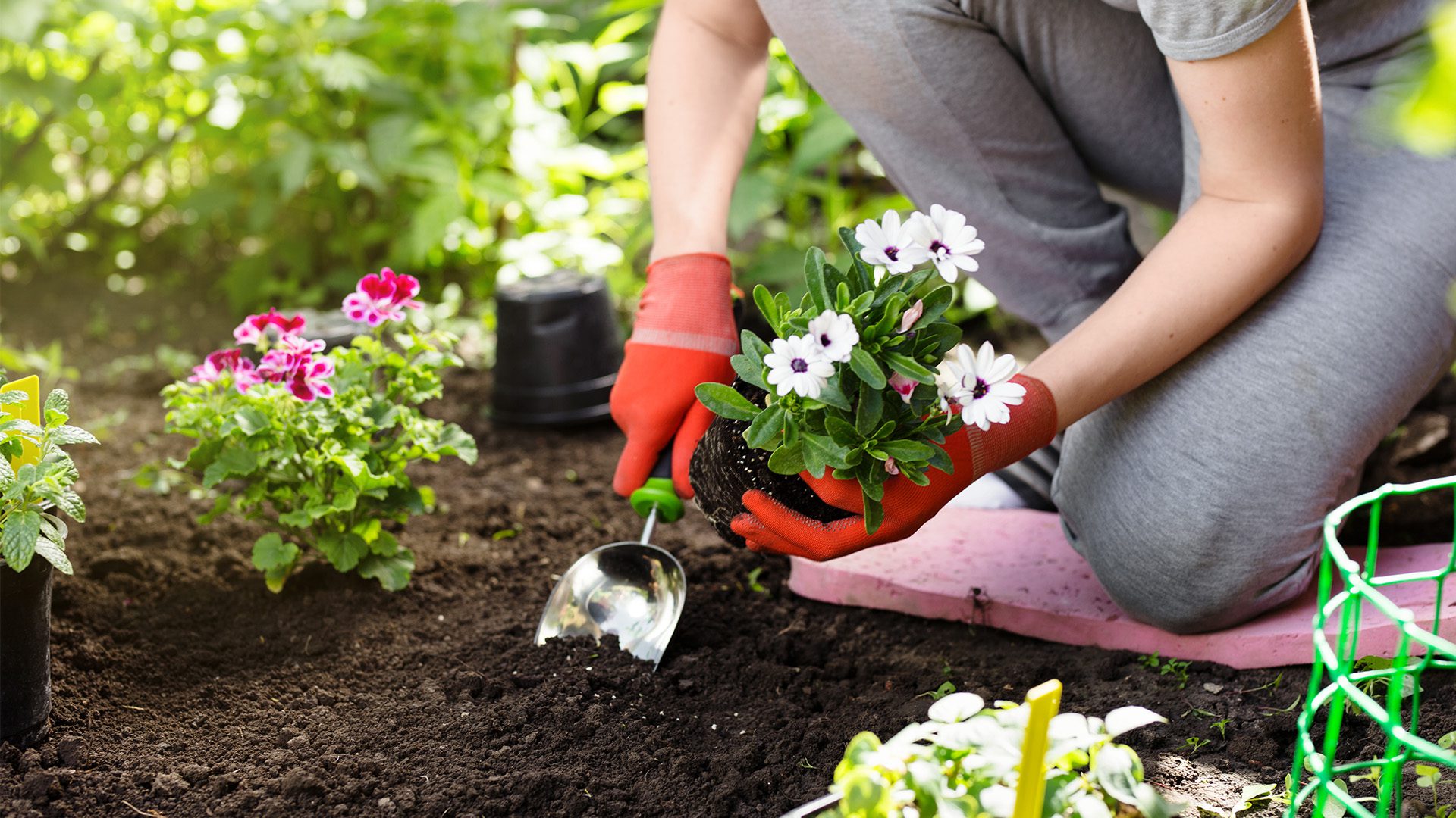 Spring Plpanting The Functional Spring: Planting the Seeds for a Pain-Free Season