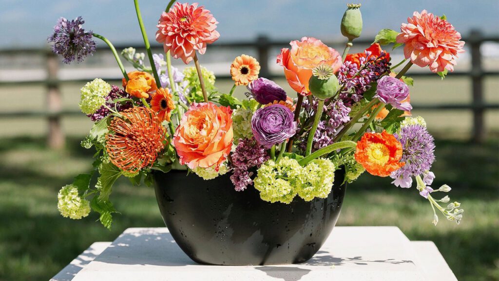 A Fresh Bloom for Spring