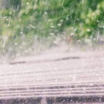 Wind and Hail Damage: What Florence Homeowners Should Know This Spring