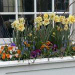 Spring into Action: Gardens Awake