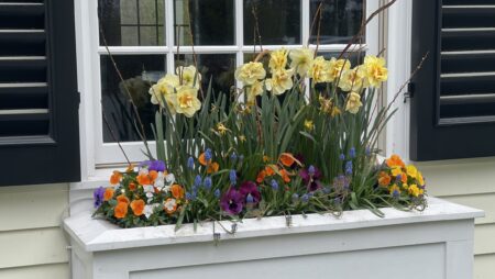 Samanthas Gardens flower bed
