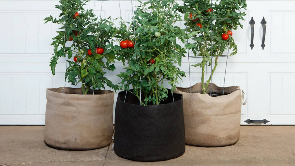 Growing with Smart Pots