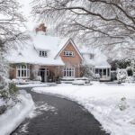 Time Is Running Out: The Final Window for Dormant Pruning
