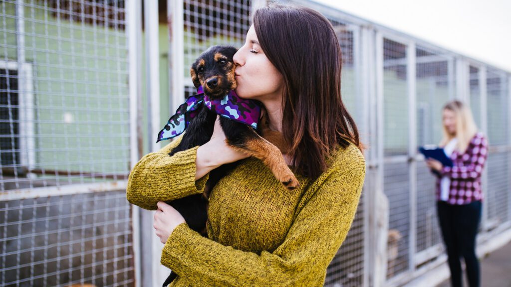 Rehoming Pets: A Safe Guide to Relocation and Surrender