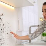 The Hidden Dangers of Mold in Homes After a Wet Spring