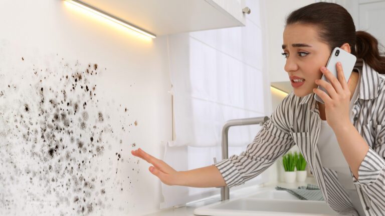 The Hidden Dangers of Mold in Homes After a Wet Spring