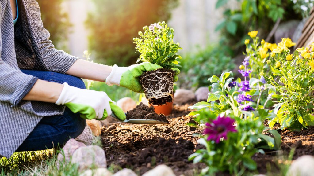 Blooming With Purpose: Kilworth and Komoka Homeowners Can Create Pollinator Friendly, Beautiful Gardens