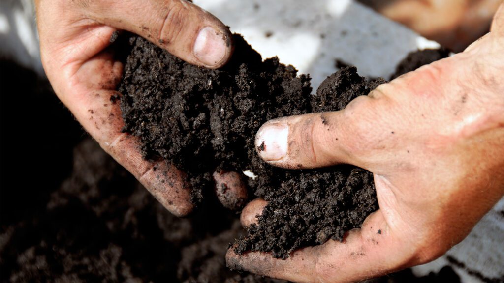Successful Gardening Starts in Spring!