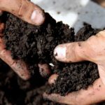 Successful Gardening Starts in Spring!