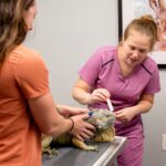 Exotic Pet Care at Ark Veterinary Hospital