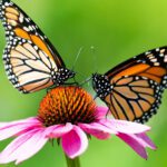 Spring Into Action: Pollinators & Pest-Repelling Plants