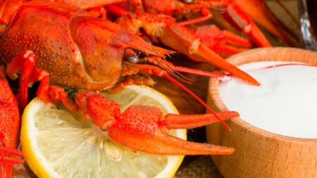 crawfish