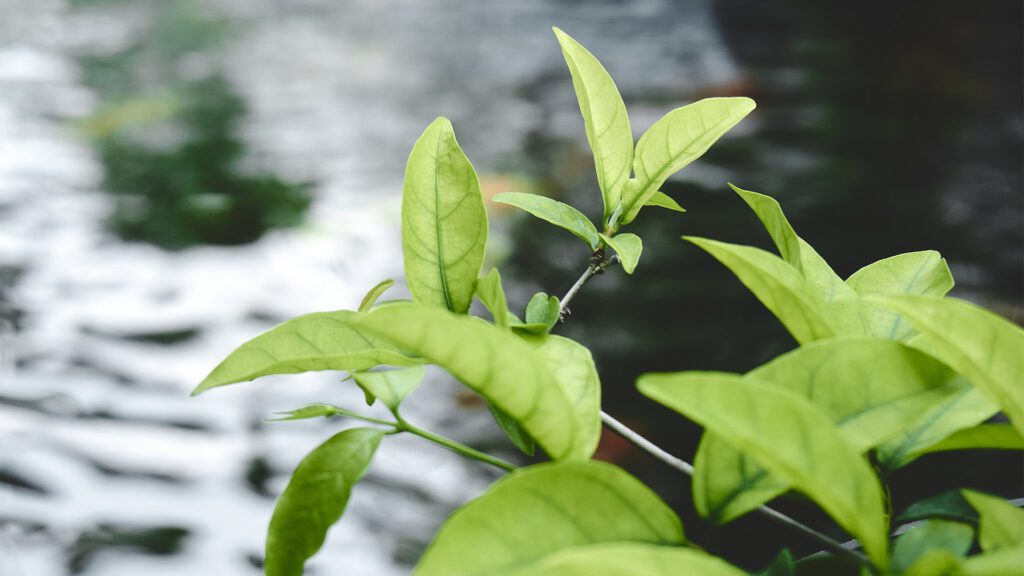 Spring Transitions: How to Redefine What’s Next in Life