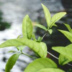 Spring Transitions: How to Redefine What’s Next in Life