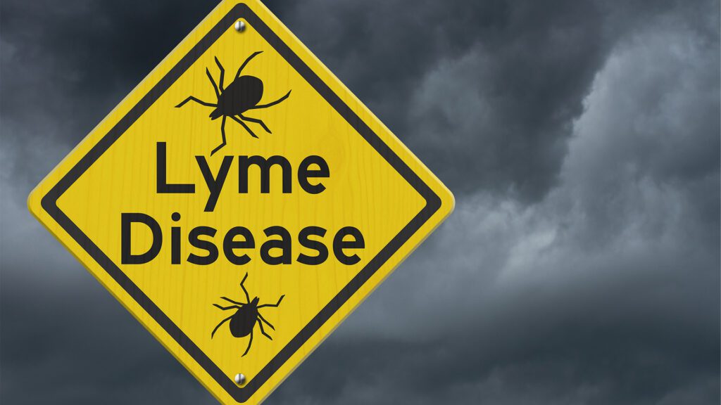 When Lyme Looks Like Anxiety: Why Mental Health Belongs in Tick-Borne Care