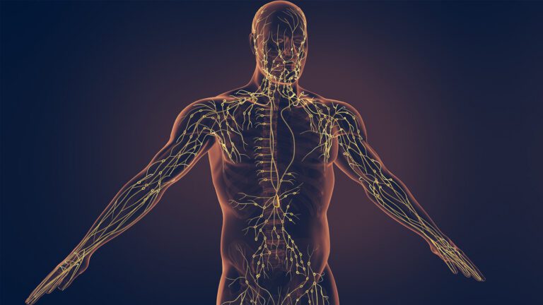 Your Lymphatic System: What Is It, What Does It Do, and Why Should You Care?