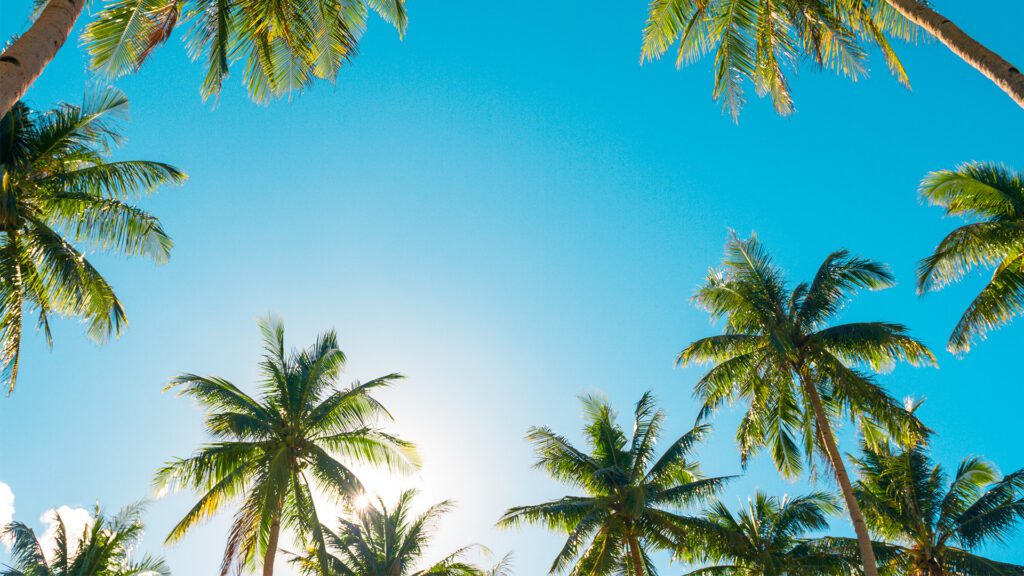 Why Florida’s Changing Weather Can Leave You Feeling Drained