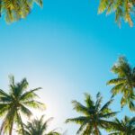 Why Florida’s Changing Weather Can Leave You Feeling Drained