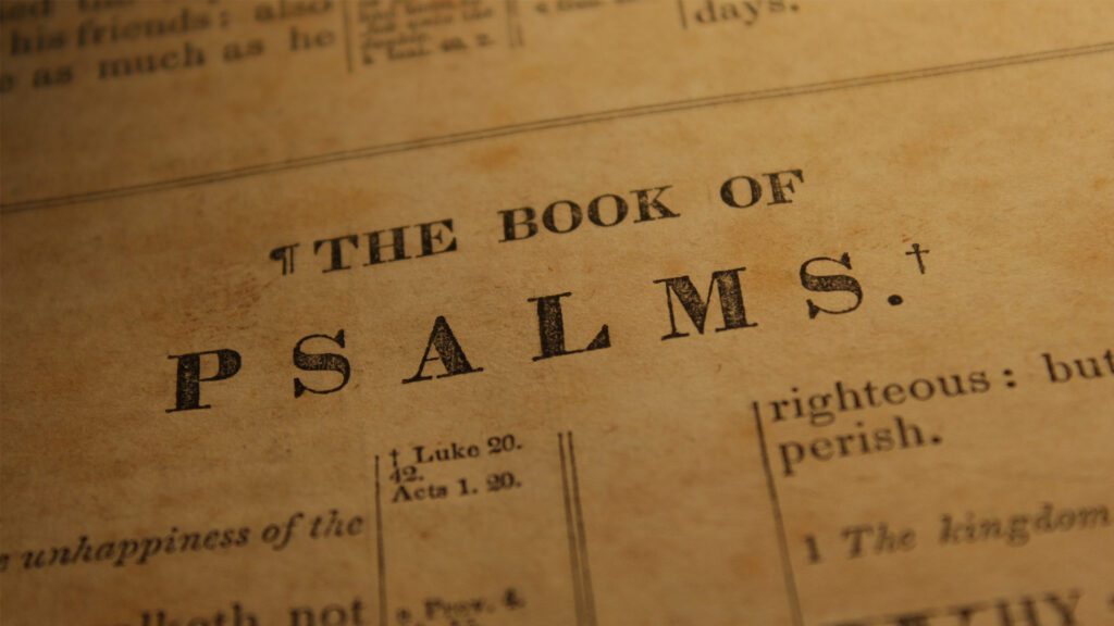 Who is Your King? Lessons from Psalm 119