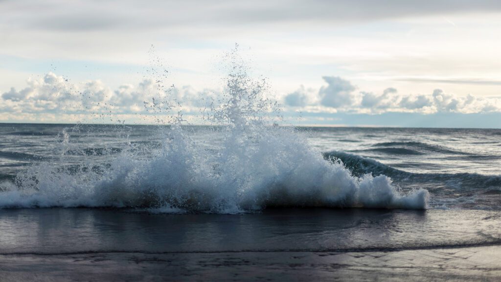 The Shoreline Letter: April 2026