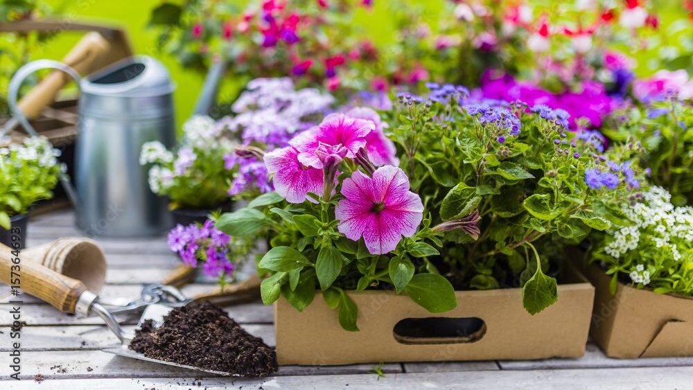 Spring and Summer Planting for Rockaway