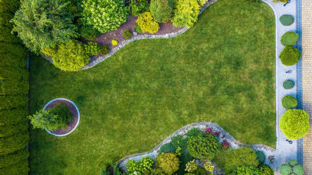 Beat the Heat: Choosing the Right Plants for North Alabama’s Hottest Months