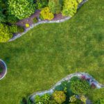 Beat the Heat: Choosing the Right Plants for North Alabama’s Hottest Months