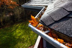 Autumn leaves in rain gutter