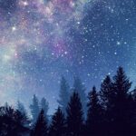 Sudden Loss and Our Need for Closure