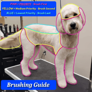 Brushing Guide Spaw N Paw Professional Grooming