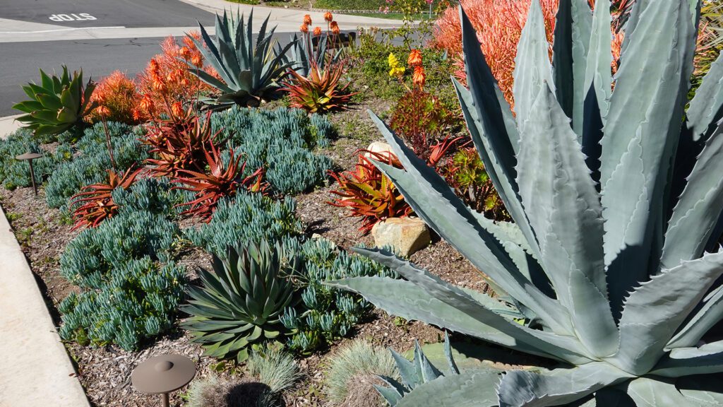 3 Water Conserving Landscaping Tips