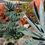 3 Water Conserving Landscaping Tips