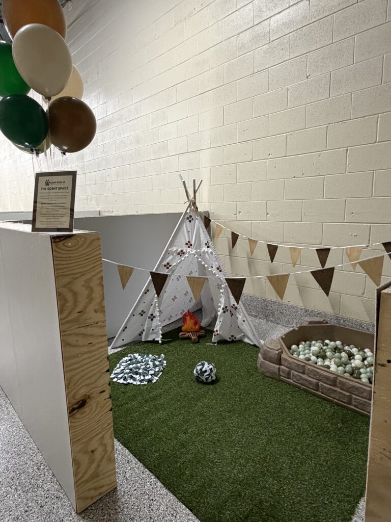 Camp Ruff It Doggie Daycare & Boarding