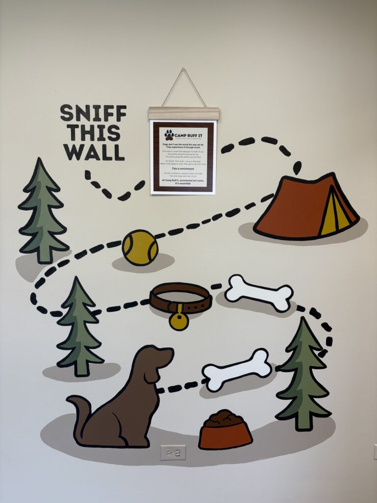 Camp Ruff It Doggie Daycare & Boarding