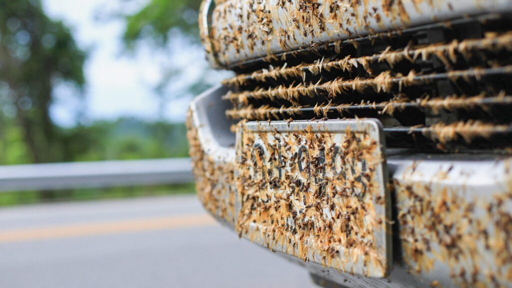 Tommy’s Tips: Washing Off Those Bugs In Anchorage Matters!