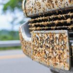 Tommy’s Tips: Washing Off Those Bugs In Anchorage Matters!
