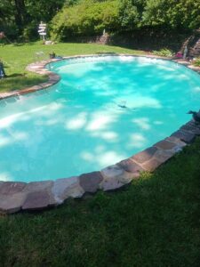 Dietrich Pool Service backyard pool