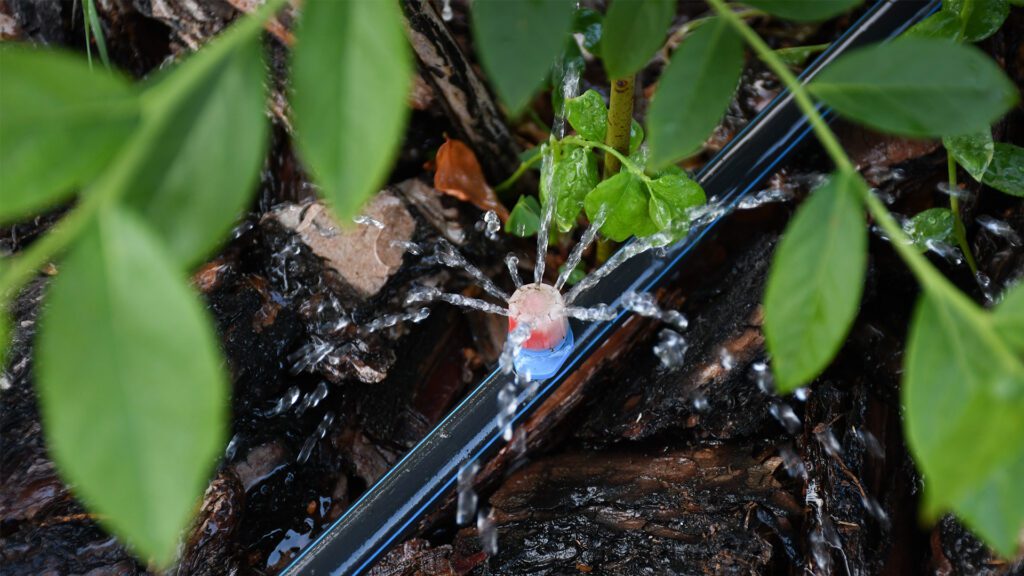 Smart Water Management: Drip Irrigation Solutions for Nanaimo Landscapes